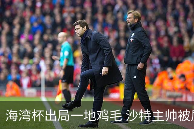 海湾杯出局一地鸡毛 沙特主帅被质疑不如曼奇尼
